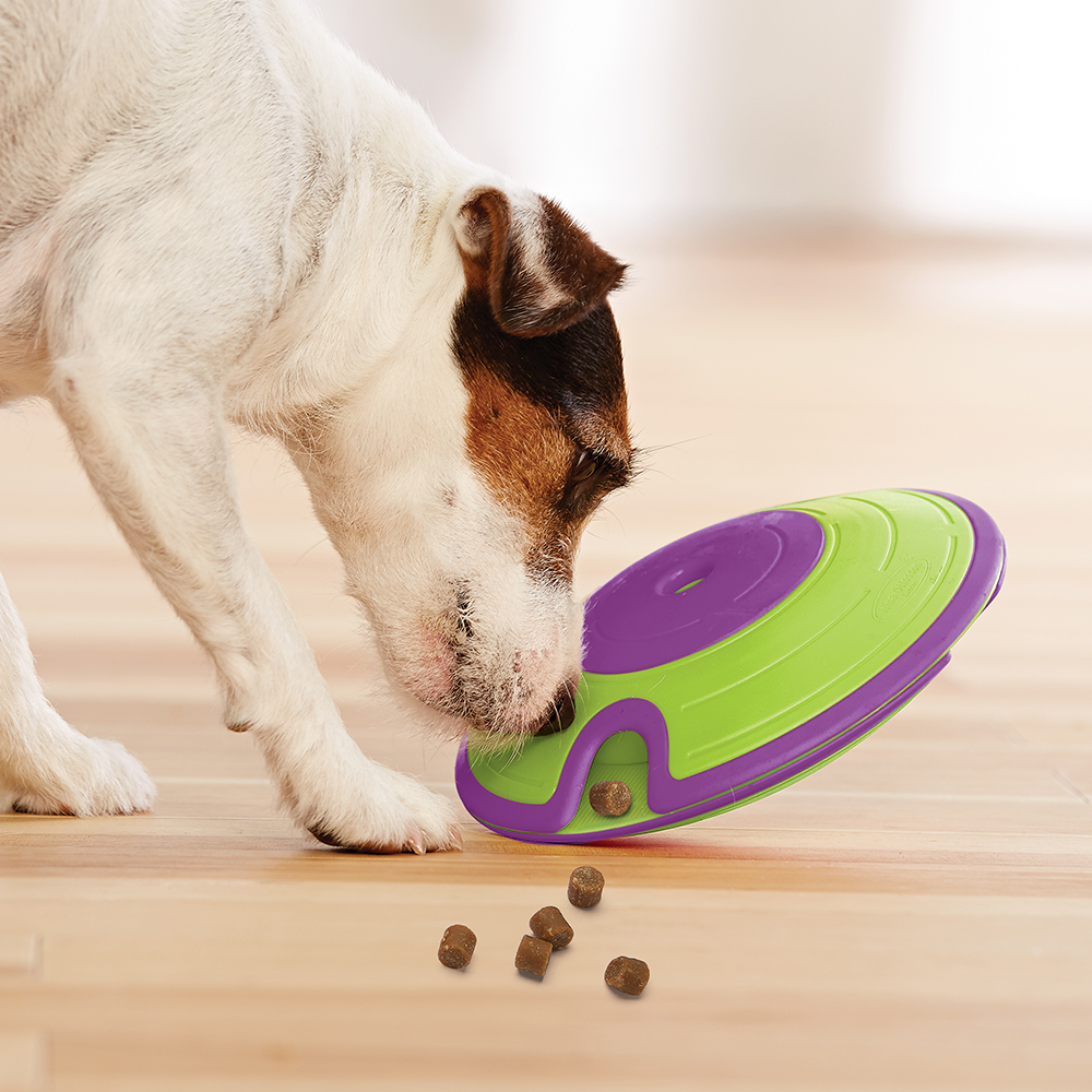 Dog Treat Reviews Australia Dog Treat Reviews Australia