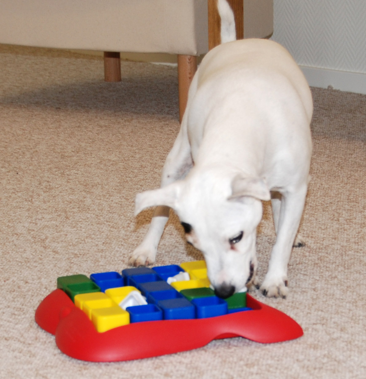 puppy puzzles ottosson toys shop miracle puzzle level 2 puppy puzzles ottosson toys shop miracle puzzle level 2