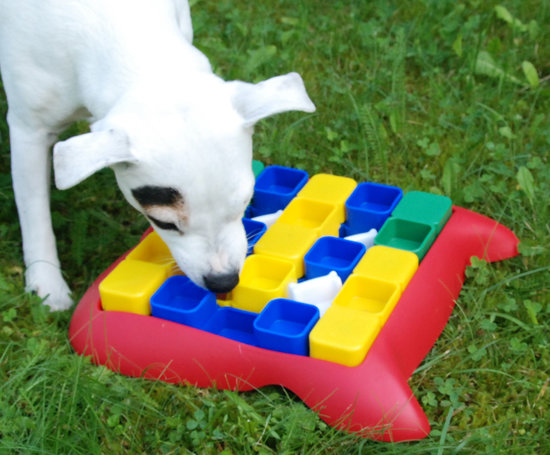 Nina Ottosson Dog Toys Shop Dog Miracle Puzzle Level 2