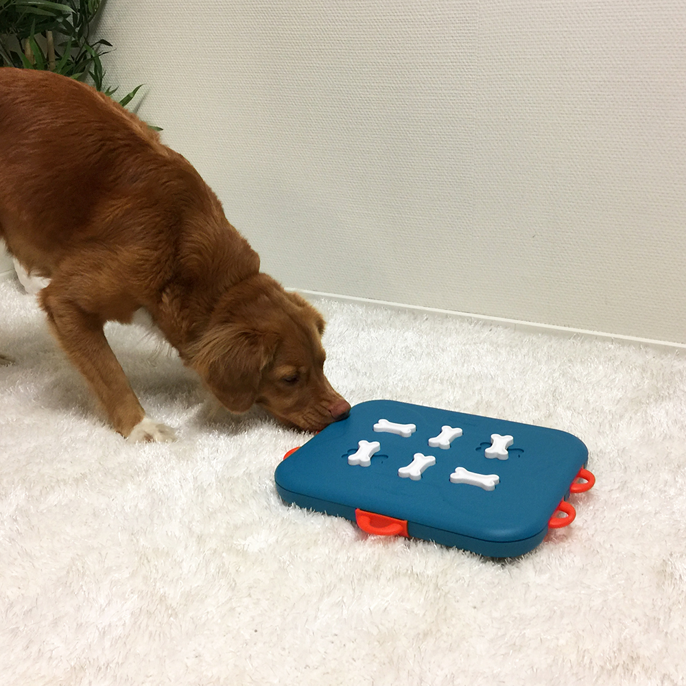 Nina Ottosson Dog Toys Canada Nina Ottosson Dog Toys Canada